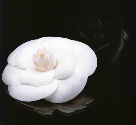 bouquet de fleur chanel|The History of the Coco Chanel Camellia Flower .